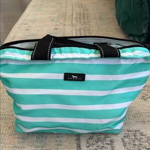 Scout Teal and White Striped Cosmetic Bag or Lunchbox